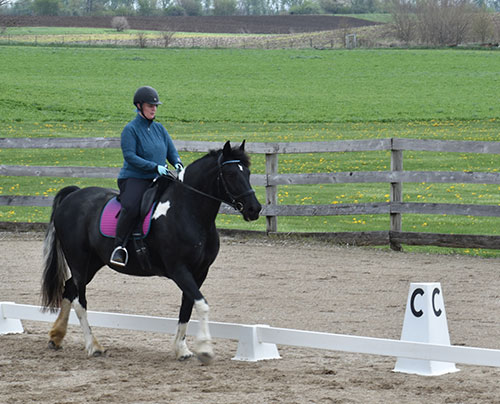 woman on large horse in outdoor dressage arena