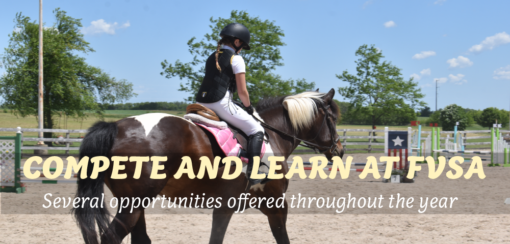 girl on horse getting ready to jump obstacles in outdoor arena