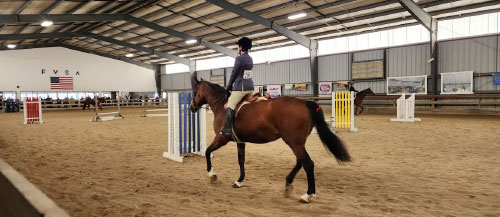 girl riding horse in the indoor arena